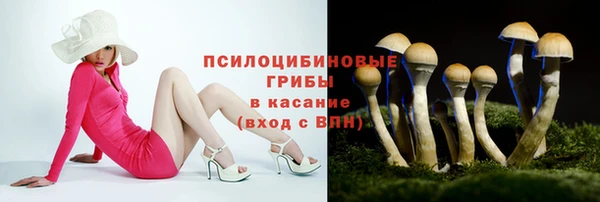 PSILOCYBIN Козельск