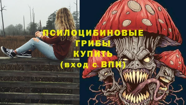 PSILOCYBIN Козельск