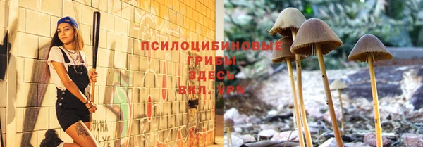 PSILOCYBIN Козельск