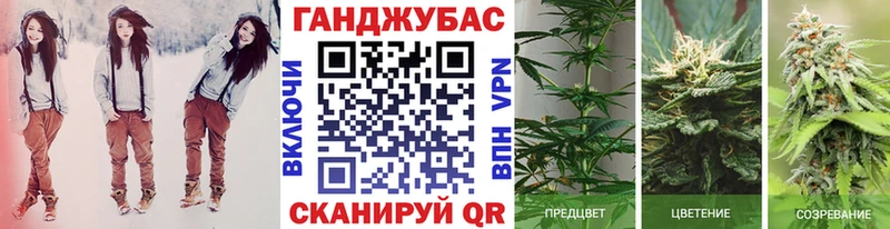 Марихуана Amnesia  Купить  Минеральные Воды 